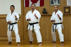 2010 Shiina Sensei Seminar - Mississauga