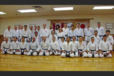 2011 Imura Sensei Seminar - Mississauga