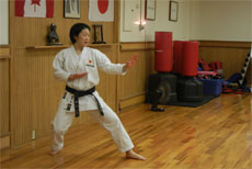 2011 Mai Shiina Seminar - Mississauga